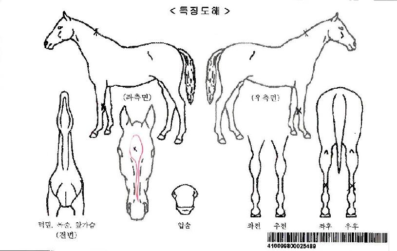 ��º����ڸ��� ����,���,�޸�,�λ�,�ٸ��� Ư¡����