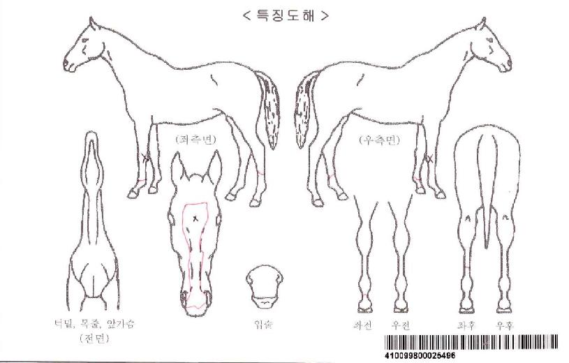 ���������ڸ��� ����,���,�޸�,�λ�,�ٸ��� Ư¡����