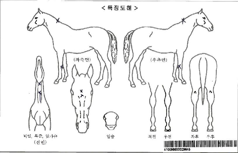 ���ǽ����ڸ��� ����,���,�޸�,�λ�,�ٸ��� Ư¡����