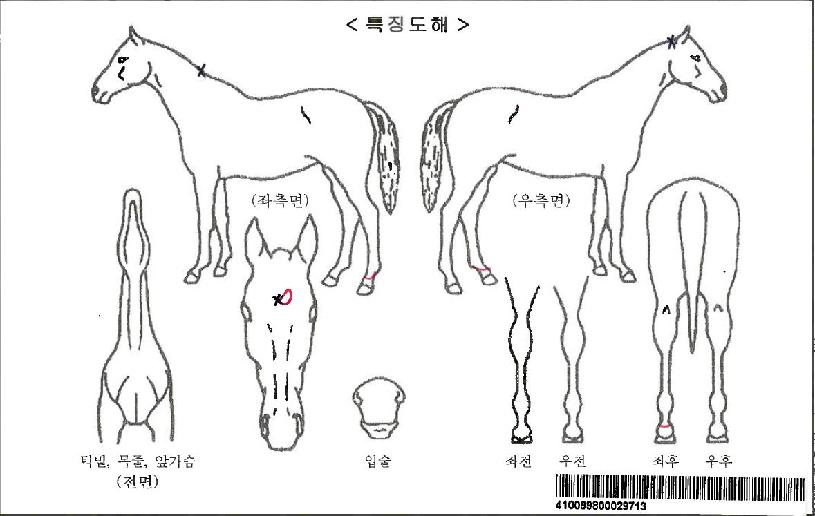 ¾ÆÀÌ¿ùÀÌÇÁÀ¯¿ùÀÚ¸¶ÀÇ Ãø¸é,¿ì¸é,µÞ¸é,µÎ»ó,´Ù¸®ÀÇ Æ¯Â¡µµÇØ