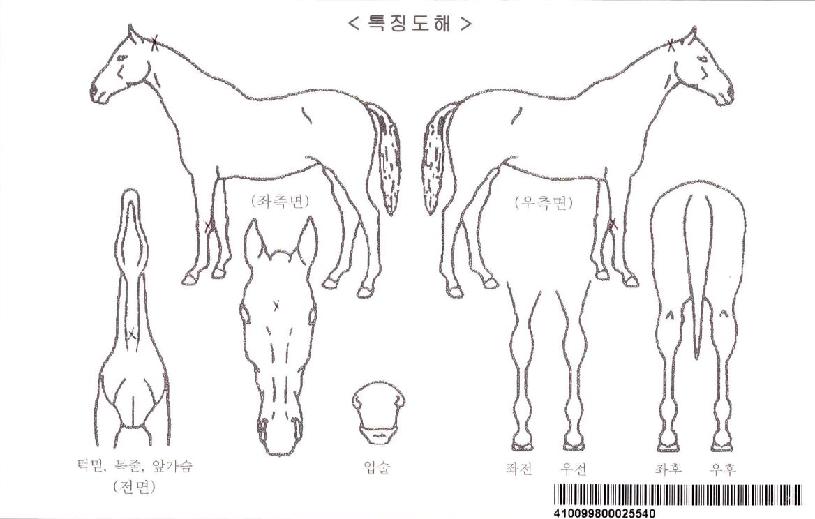 ������ڸ��� ����,���,�޸�,�λ�,�ٸ��� Ư¡����