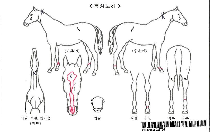 ȣ�������ڸ��� ����,���,�޸�,�λ�,�ٸ��� Ư¡����