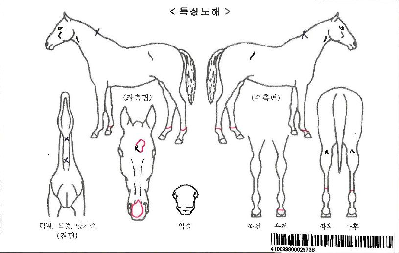 ������ڸ��� ����,���,�޸�,�λ�,�ٸ��� Ư¡����