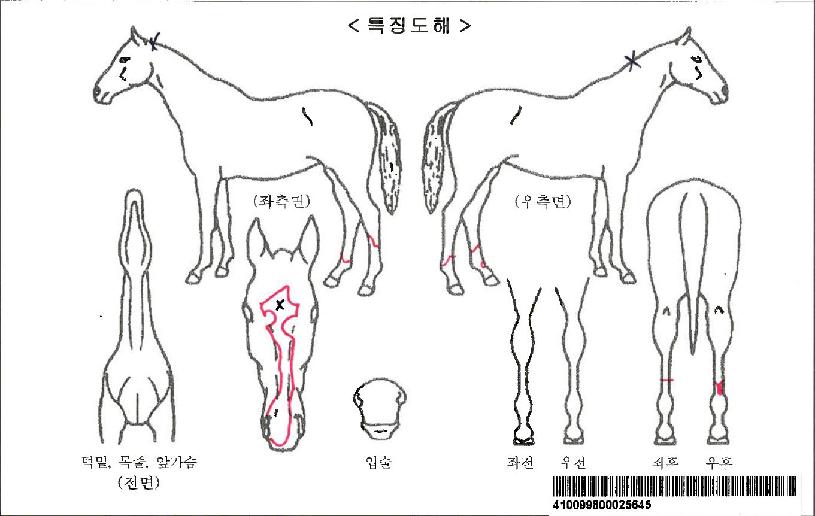 �ý���ĭ�ڸ��� ����,���,�޸�,�λ�,�ٸ��� Ư¡����