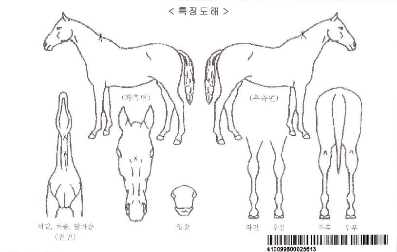 �����÷����ڸ��� ����,���,�޸�,�λ�,�ٸ��� Ư¡����