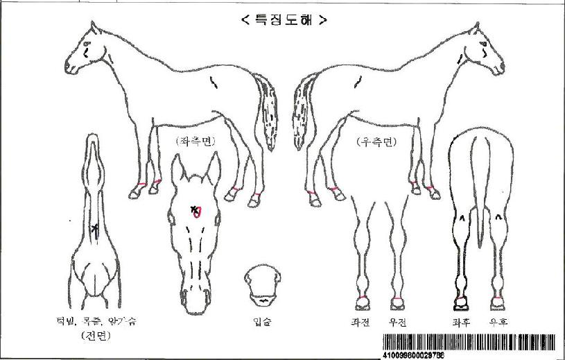 ÈÀÌÆ®´ÙÀ̾ÆÀÚ¸¶ÀÇ Ãø¸é,¿ì¸é,µÞ¸é,µÎ»ó,´Ù¸®ÀÇ Æ¯Â¡µµÇØ