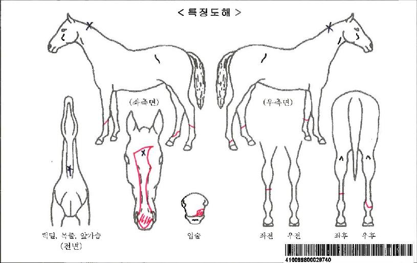 �����������ڸ��� ����,���,�޸�,�λ�,�ٸ��� Ư¡����