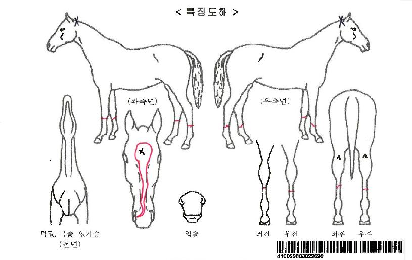 ��������ڸ��� ����,���,�޸�,�λ�,�ٸ��� Ư¡����