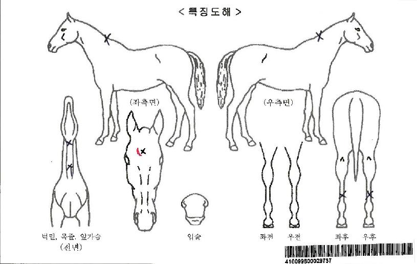 ĵ�������ڸ��� ����,���,�޸�,�λ�,�ٸ��� Ư¡����