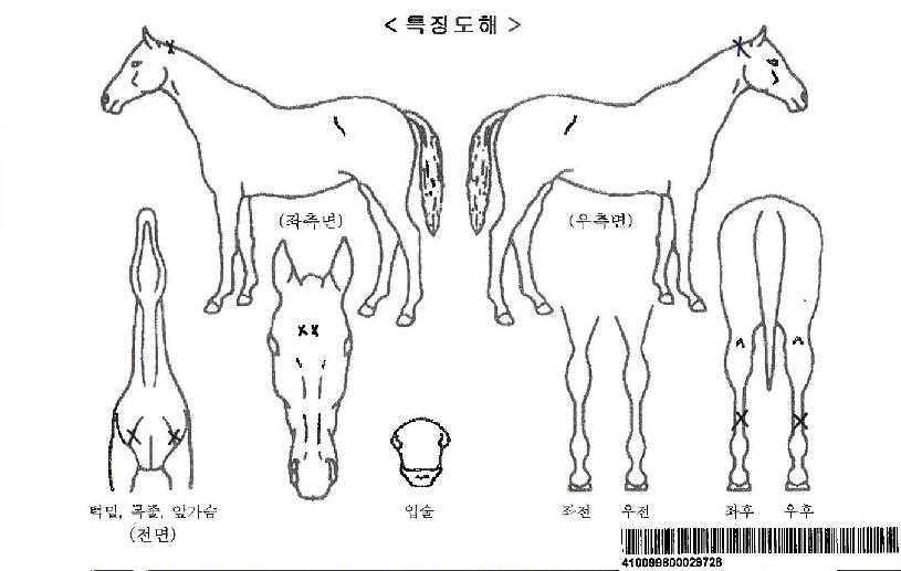 ���ͼ����ڸ��� ����,���,�޸�,�λ�,�ٸ��� Ư¡����