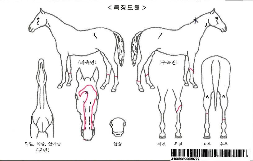�ű״��Ǽ��̹����ڸ��� ����,���,�޸�,�λ�,�ٸ��� Ư¡����