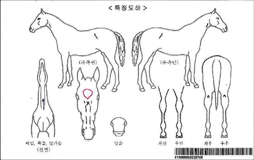 �¸����ڸ��� ����,���,�޸�,�λ�,�ٸ��� Ư¡����