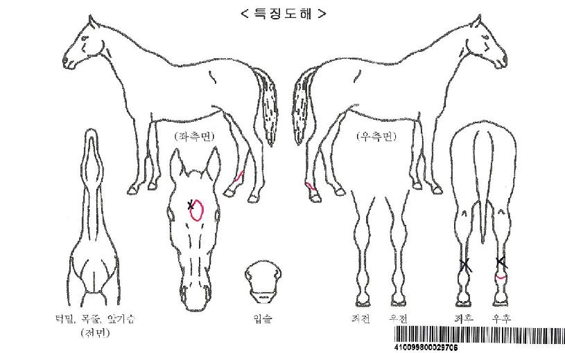 ���ϵ�Ƶ��ڸ��� ����,���,�޸�,�λ�,�ٸ��� Ư¡����