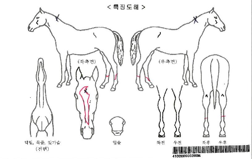 ����Ʈ���÷����ڸ��� ����,���,�޸�,�λ�,�ٸ��� Ư¡����