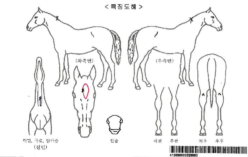 �����ڸ��� ����,���,�޸�,�λ�,�ٸ��� Ư¡����