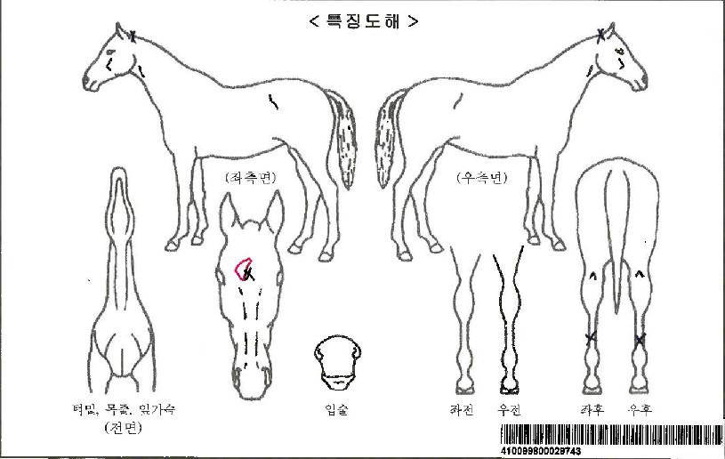 ����Ǯ����ڸ��� ����,���,�޸�,�λ�,�ٸ��� Ư¡����