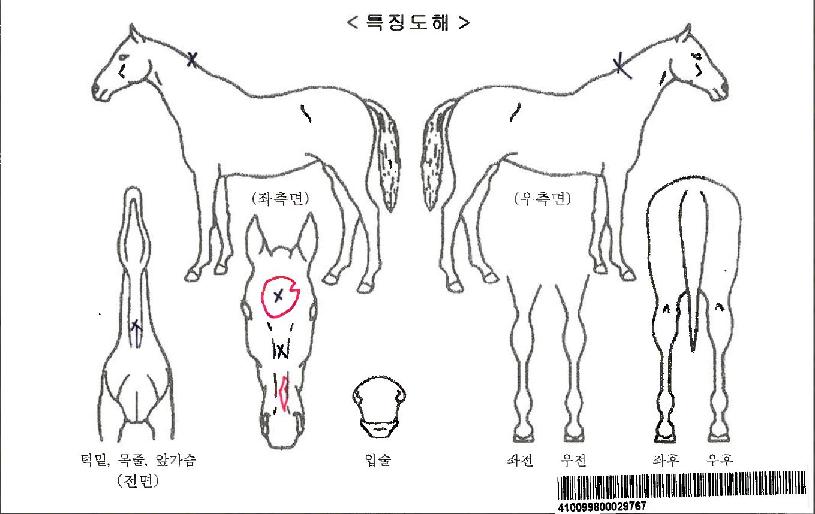 ���ġ���ڸ��� ����,���,�޸�,�λ�,�ٸ��� Ư¡����