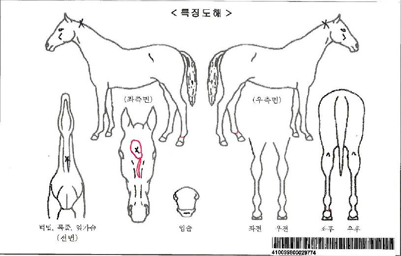 �������������ڸ��� ����,���,�޸�,�λ�,�ٸ��� Ư¡����