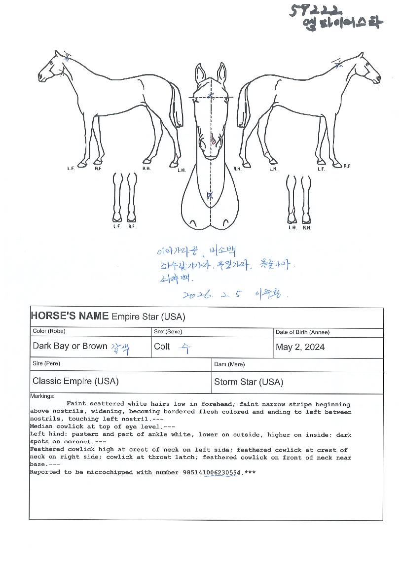 �����̾Ÿ�� ����,���,�޸�,�λ�,�ٸ��� Ư¡����