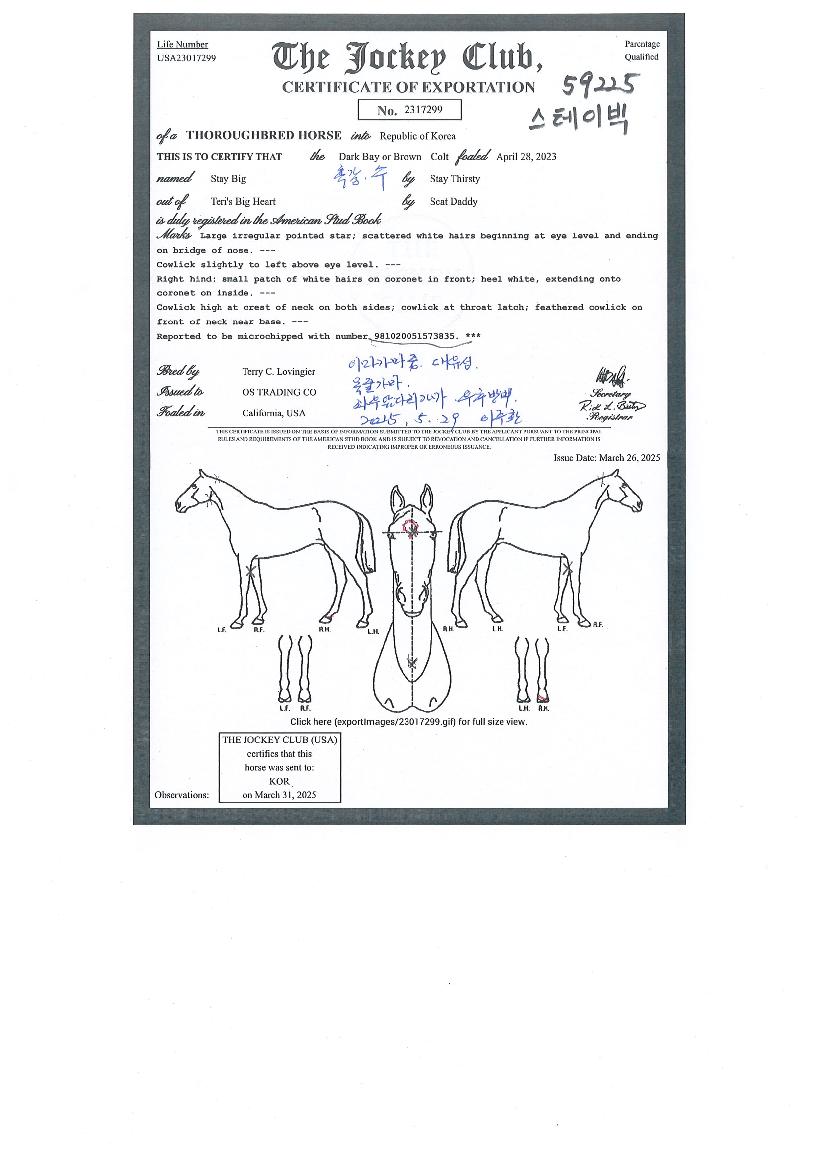 �����̺��� ����,���,�޸�,�λ�,�ٸ��� Ư¡����