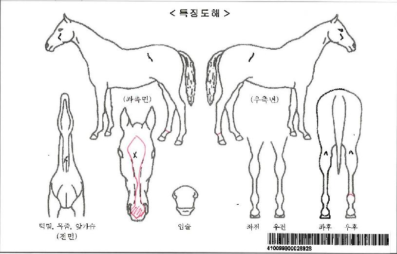 �׷��̿����ڸ��� ����,���,�޸�,�λ�,�ٸ��� Ư¡����