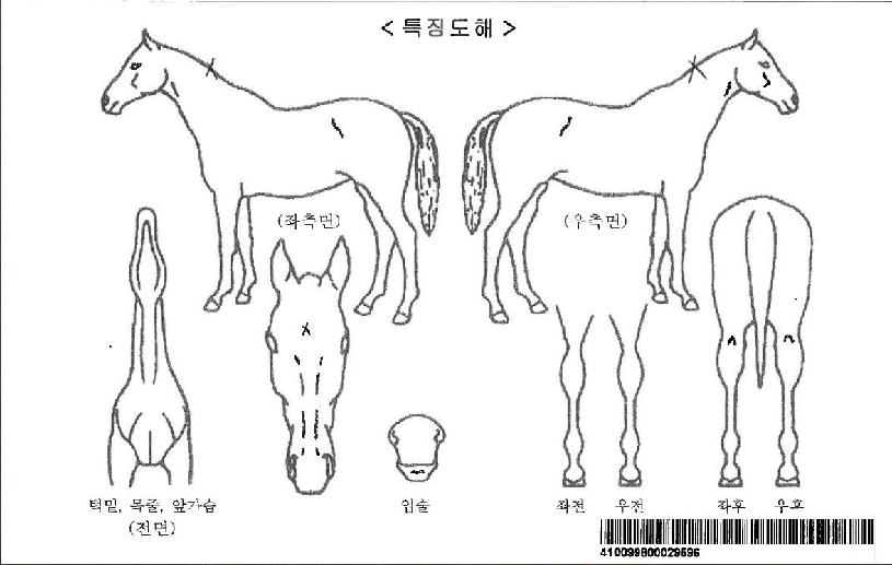 Ƽ�ĴϺ����ڸ��� ����,���,�޸�,�λ�,�ٸ��� Ư¡����