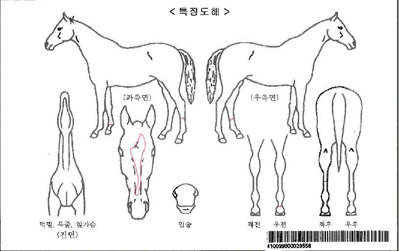 �ö��������ڸ��� ����,���,�޸�,�λ�,�ٸ��� Ư¡����