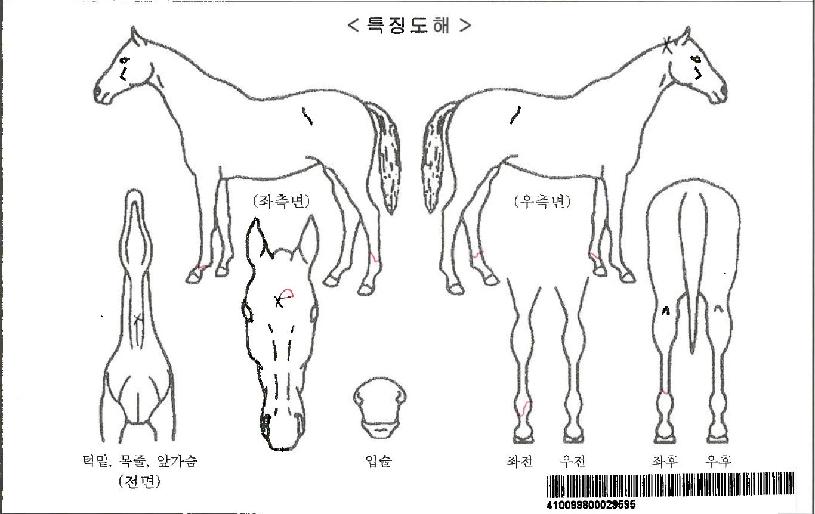 ·¹ÀÌ¿¥¾Æ¿ôÀÚ¸¶ÀÇ Ãø¸é,¿ì¸é,µÞ¸é,µÎ»ó,´Ù¸®ÀÇ Æ¯Â¡µµÇØ