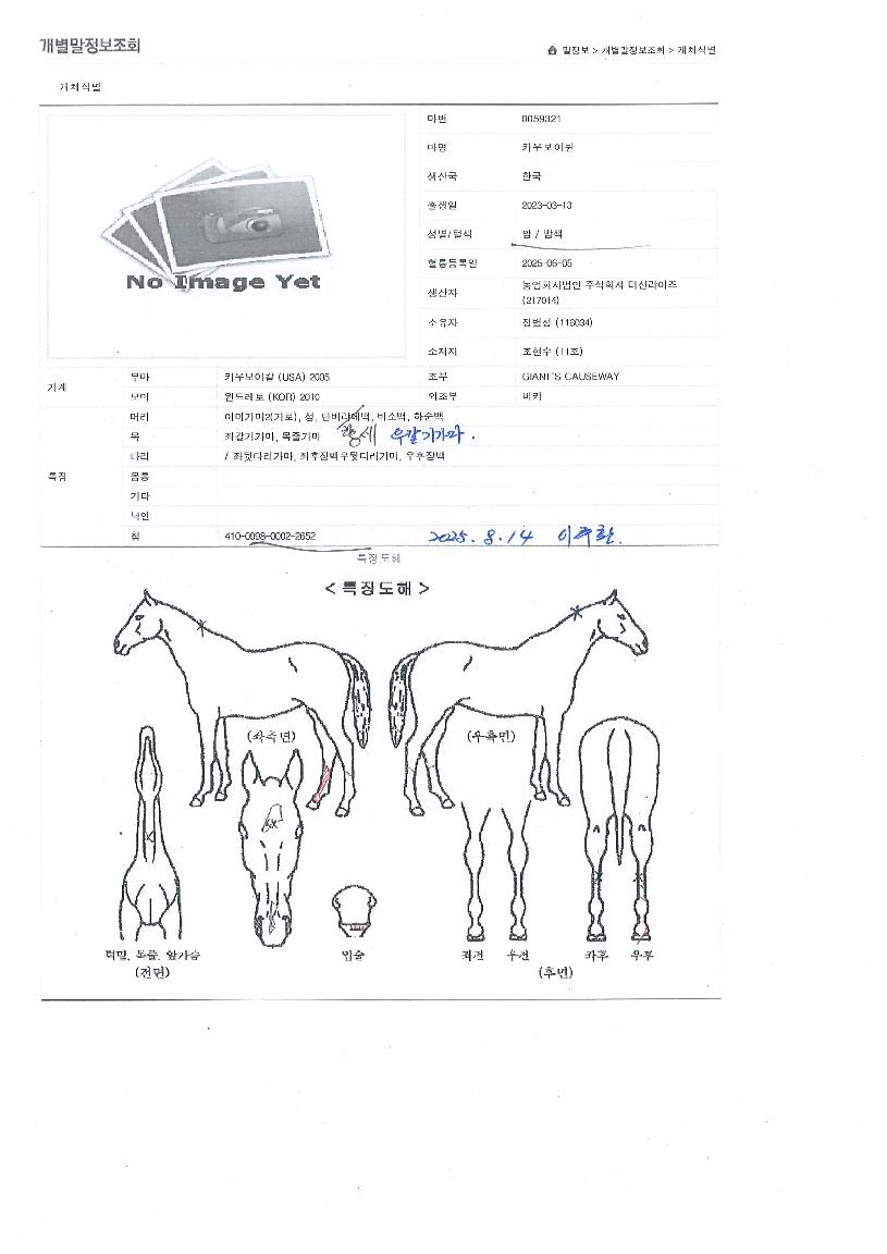 Ä«¿ìº¸ÀÌÄýÀÇ Ãø¸é,¿ì¸é,µÞ¸é,µÎ»ó,´Ù¸®ÀÇ Æ¯Â¡µµÇØ