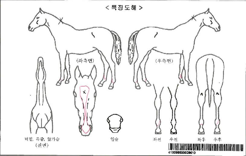 ���κ��켱�ڸ��� ����,���,�޸�,�λ�,�ٸ��� Ư¡����