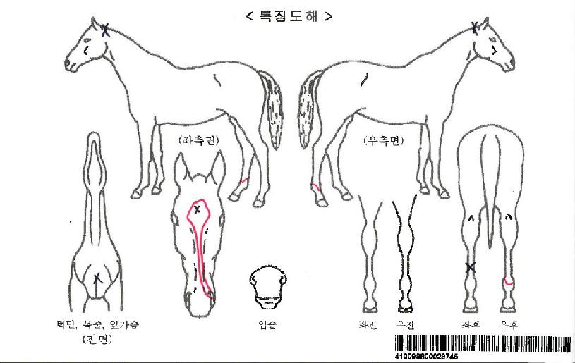 �������ڸ��� ����,���,�޸�,�λ�,�ٸ��� Ư¡����