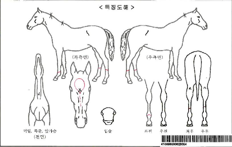 ·Îµå¾ðµåÇÁ·¹ÀÌÁîÀÚ¸¶ÀÇ Ãø¸é,¿ì¸é,µÞ¸é,µÎ»ó,´Ù¸®ÀÇ Æ¯Â¡µµÇØ