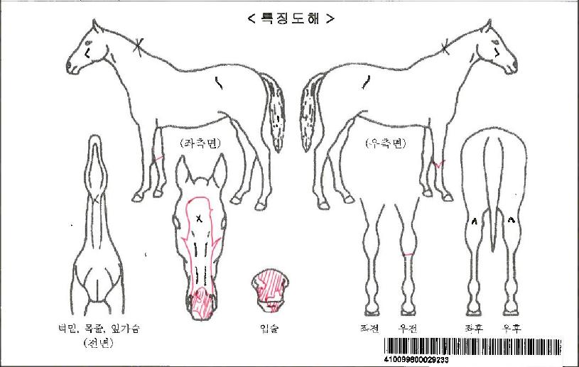 Ʈ�극�̵���ڸ��� ����,���,�޸�,�λ�,�ٸ��� Ư¡����