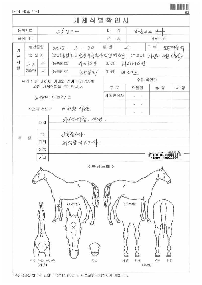 �ٷγ׽��ڸ��� ����,���,�޸�,�λ�,�ٸ��� Ư¡����