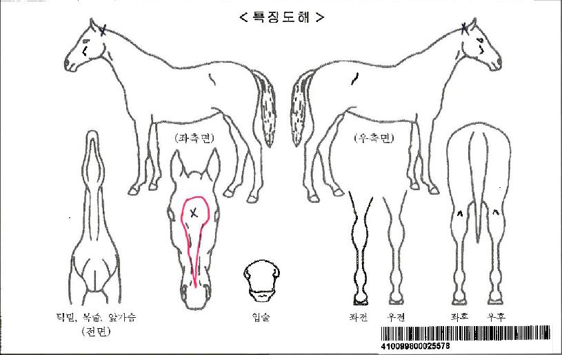 �۽ý��ڸ��� ����,���,�޸�,�λ�,�ٸ��� Ư¡����