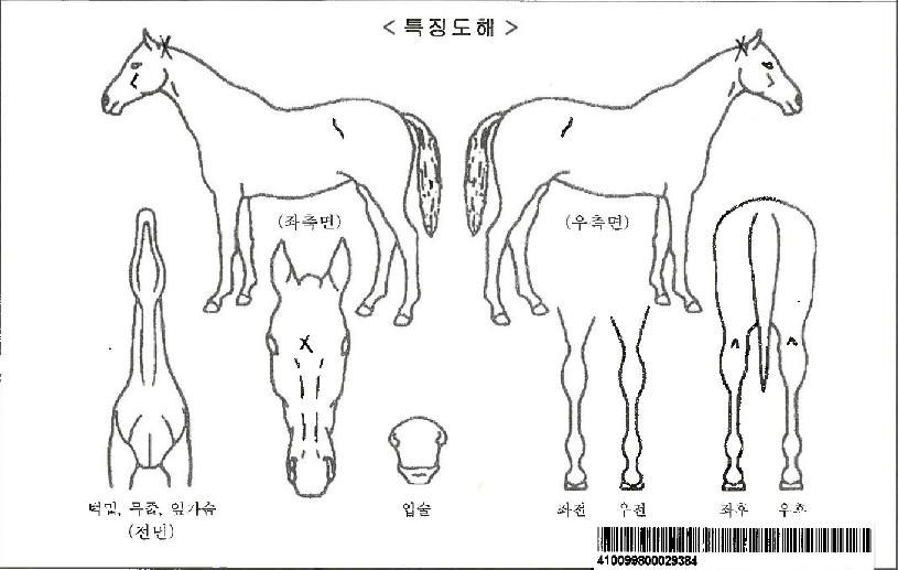 ����Ʈ�ν��ڸ��� ����,���,�޸�,�λ�,�ٸ��� Ư¡����