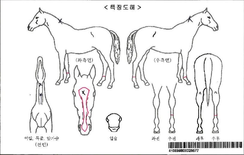 �Ƹ��������ڸ��� ����,���,�޸�,�λ�,�ٸ��� Ư¡����