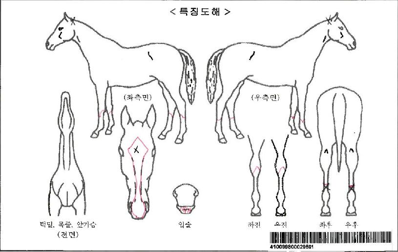 Á¶ÁöÁîÇÁ·¹¾îÀÚ¸¶ÀÇ Ãø¸é,¿ì¸é,µÞ¸é,µÎ»ó,´Ù¸®ÀÇ Æ¯Â¡µµÇØ