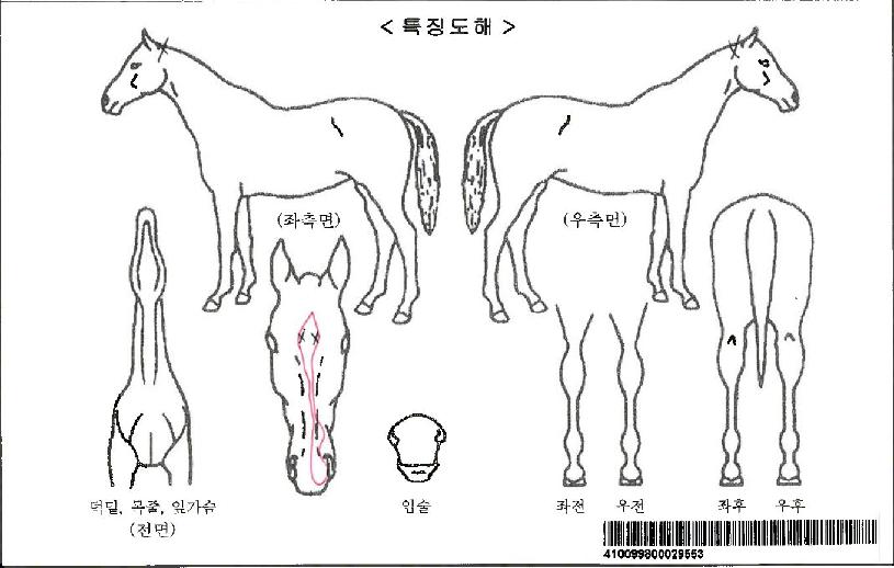 ���������ڸ��� ����,���,�޸�,�λ�,�ٸ��� Ư¡����