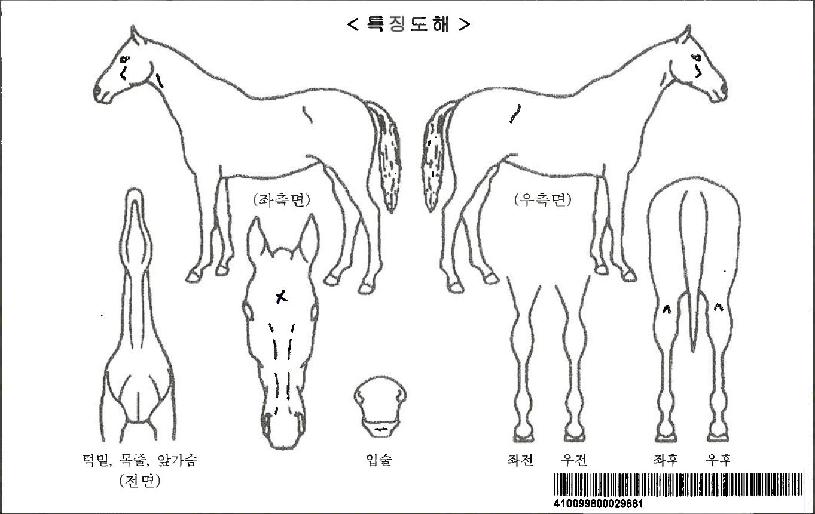 �������Ŀ��ڸ��� ����,���,�޸�,�λ�,�ٸ��� Ư¡����