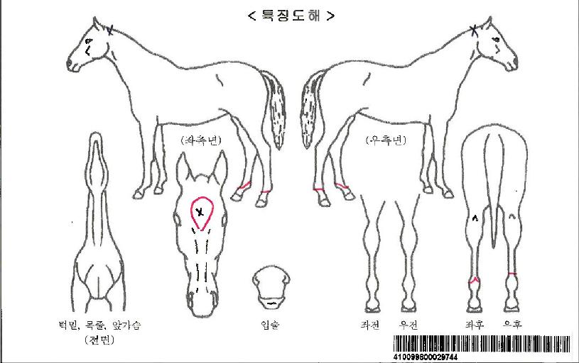 ���������ڸ��� ����,���,�޸�,�λ�,�ٸ��� Ư¡����