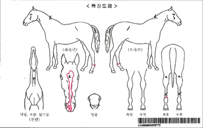 ���������ڸ��� ����,���,�޸�,�λ�,�ٸ��� Ư¡����