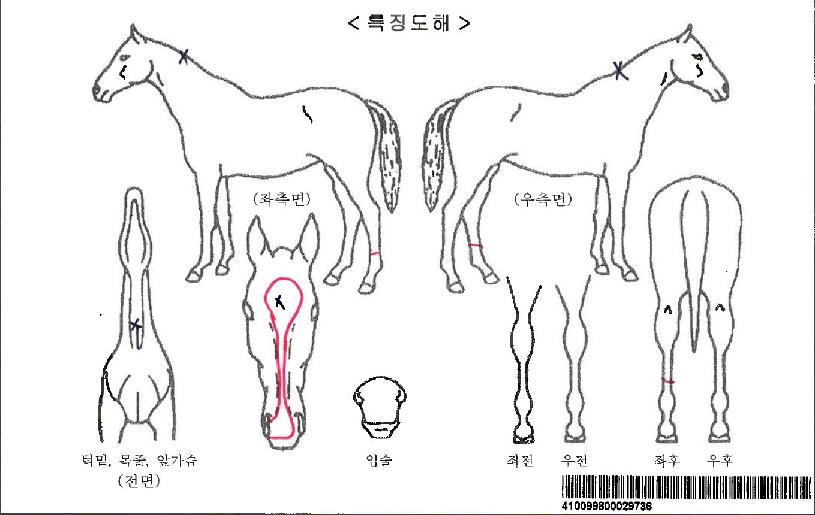 �޴Ͻ���Ʈ�ڸ��� ����,���,�޸�,�λ�,�ٸ��� Ư¡����