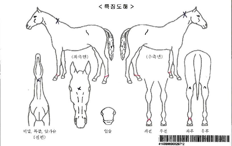 ÇÔÆò»þÀÎÀÚ¸¶ÀÇ Ãø¸é,¿ì¸é,µÞ¸é,µÎ»ó,´Ù¸®ÀÇ Æ¯Â¡µµÇØ