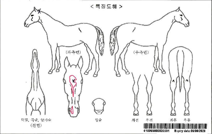 ������ڸ��� ����,���,�޸�,�λ�,�ٸ��� Ư¡����