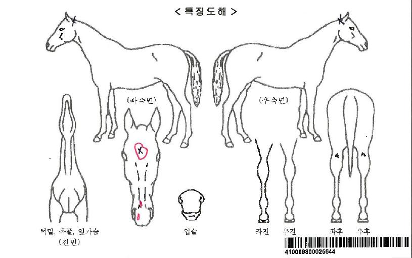 �������ڸ��� ����,���,�޸�,�λ�,�ٸ��� Ư¡����