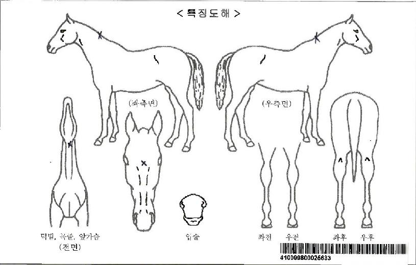 �����ö����ڸ��� ����,���,�޸�,�λ�,�ٸ��� Ư¡����