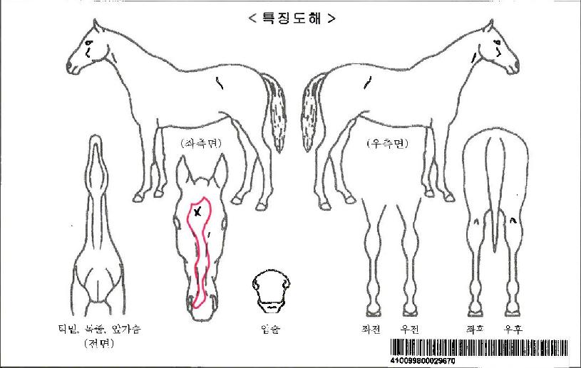 ���̺񺸽��ڸ��� ����,���,�޸�,�λ�,�ٸ��� Ư¡����