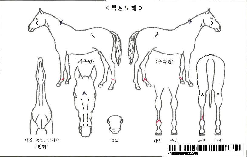 ��ũ����ڸ��� ����,���,�޸�,�λ�,�ٸ��� Ư¡����