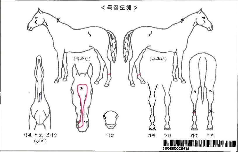 �������ڸ��� ����,���,�޸�,�λ�,�ٸ��� Ư¡����